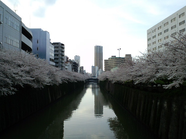 20090405165521