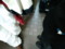 20090502114219