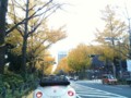 20091129105213