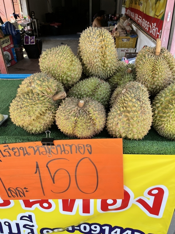 ドリアンは本当に臭い？タイで初挑戦してわかった魅力を徹底ガイド