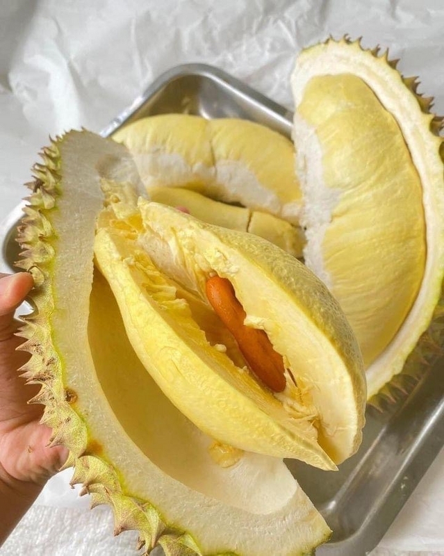 ドリアンは本当に臭い？タイで初挑戦してわかった魅力を徹底ガイド