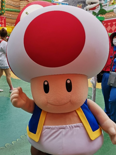 f:id:uchakasoba:20230610195507j:image