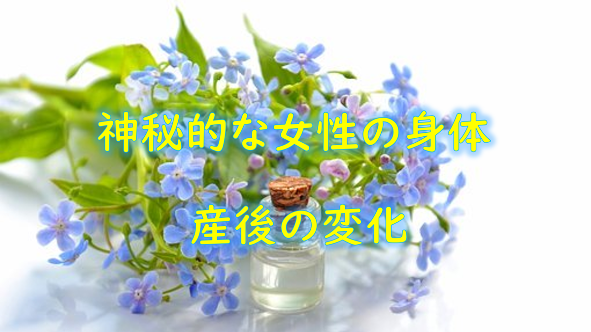 神秘的な女性の身体 産後の変化 Uchiterasuのブログ 神秘的な女性の身体 産後の変化 Uchiterasuのブログ