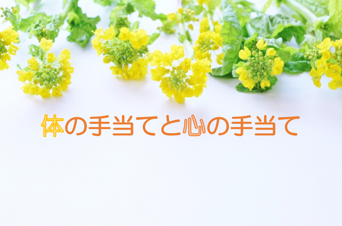 f:id:uchi-terasu:20200512223459j:plain f:id:uchi-terasu:20200512223459j:plain