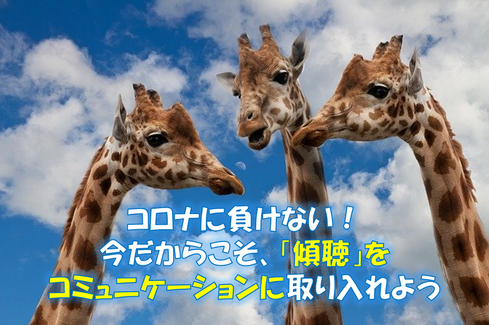 f:id:uchi-terasu:20200712113618p:plain f:id:uchi-terasu:20200712113618p:plain