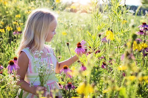 f:id:uchi-terasu:20200803161100j:plain f:id:uchi-terasu:20200803161100j:plain