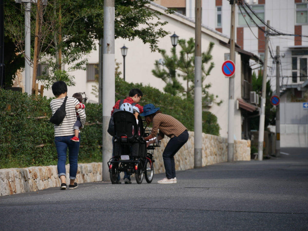 f:id:uchidazemikobe:20191112203631j:plain