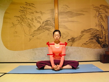 f:id:uchikoyoga:20090225001929j:image:w350