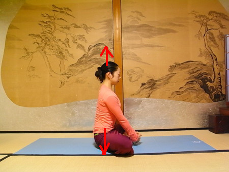 f:id:uchikoyoga:20090225002101j:image:w350