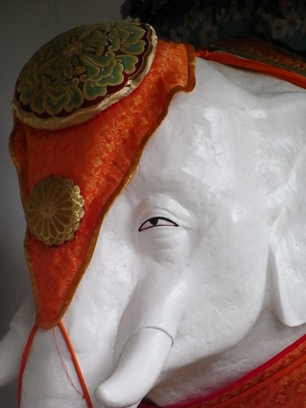 f:id:uchikoyoga:20090412202924j:image:h350 f:id:uchikoyoga:20090412202924j:image:h350
