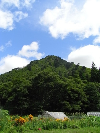 f:id:uchikoyoga:20090724012216j:image:h450