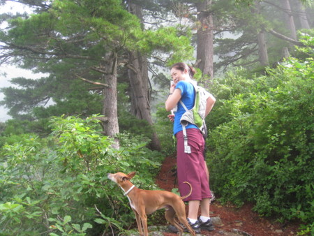 f:id:uchikoyoga:20090724012217j:image:w350