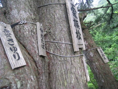 f:id:uchikoyoga:20090724012218j:image:w350