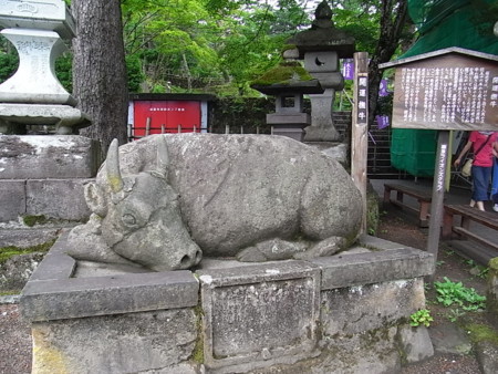 f:id:uchikoyoga:20090801004110j:image:w350