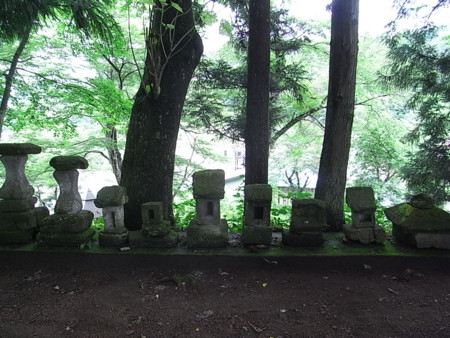 f:id:uchikoyoga:20090801004122j:image:w350