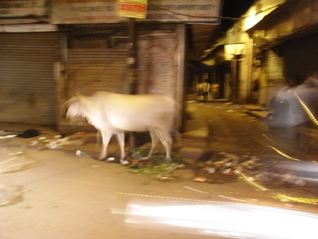 f:id:uchikoyoga:20090927223008j:image:w350 f:id:uchikoyoga:20090927223008j:image:w350