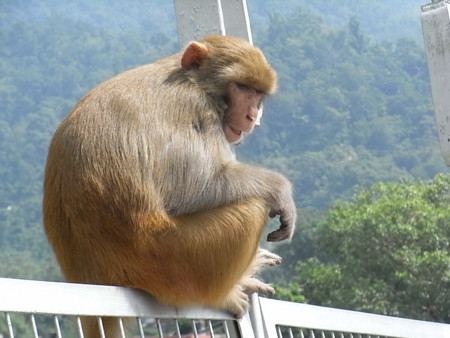 f:id:uchikoyoga:20090929013821j:image:w350 f:id:uchikoyoga:20090929013821j:image:w350