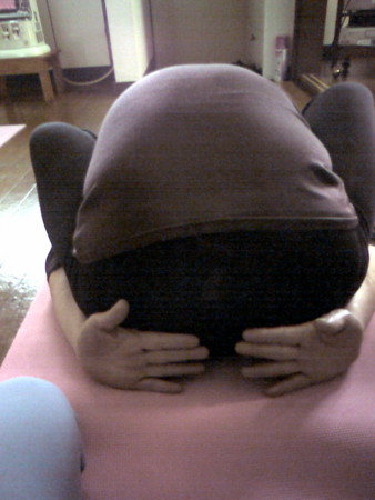 f:id:uchikoyoga:20100111220359j:image:h350