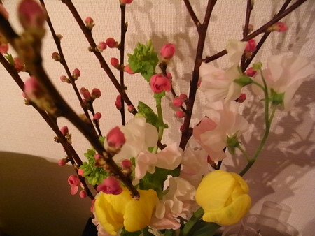 f:id:uchikoyoga:20100228231029j:image:w350 f:id:uchikoyoga:20100228231029j:image:w350