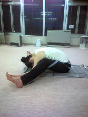 f:id:uchikoyoga:20100904001501j:image:h350