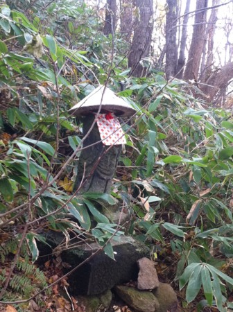 f:id:uchikoyoga:20101108002010j:image:h400