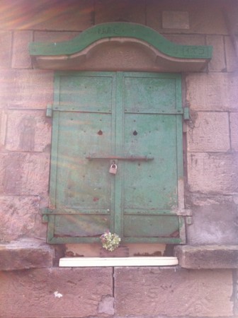 f:id:uchikoyoga:20101108002014j:image:h400