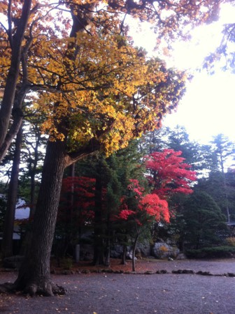 f:id:uchikoyoga:20101108002016j:image:h400