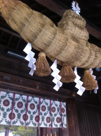 f:id:uchikoyoga:20101108002019j:image:h400