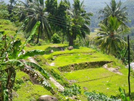 f:id:uchikoyoga:20110227235253j:image:w450 f:id:uchikoyoga:20110227235253j:image:w450