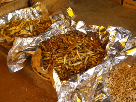 f:id:uchikoyoga:20110508004201j:image:w350 f:id:uchikoyoga:20110508004201j:image:w350