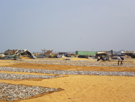 f:id:uchikoyoga:20110508004207j:image:w350 f:id:uchikoyoga:20110508004207j:image:w350