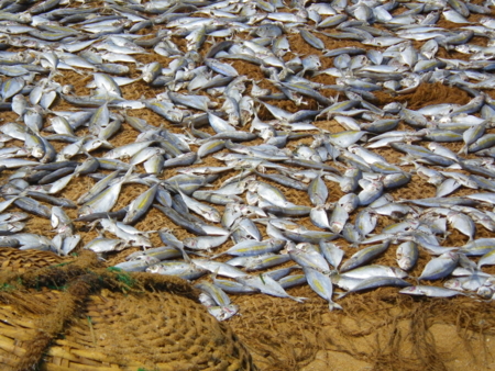 f:id:uchikoyoga:20110508004209j:image:w350 f:id:uchikoyoga:20110508004209j:image:w350