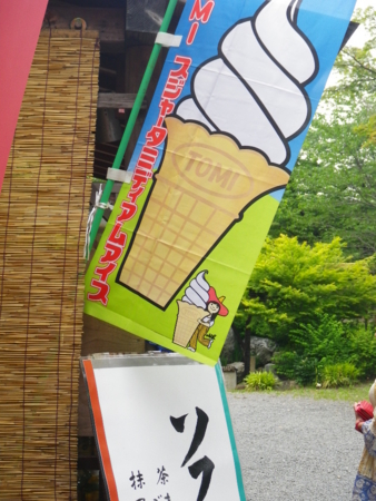 f:id:uchikoyoga:20110607232837j:image:h350