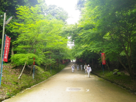 f:id:uchikoyoga:20110607232841j:image:w350