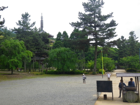 f:id:uchikoyoga:20110607232842j:image:w350