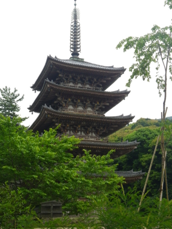 f:id:uchikoyoga:20110607232845j:image:h350