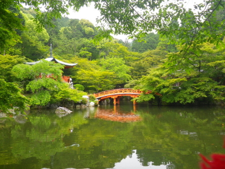 f:id:uchikoyoga:20110607232852j:image:w350