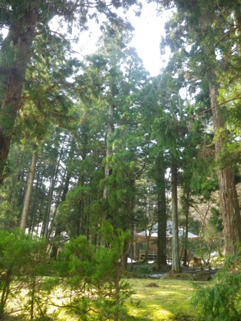 f:id:uchikoyoga:20120421201126j:image:h350