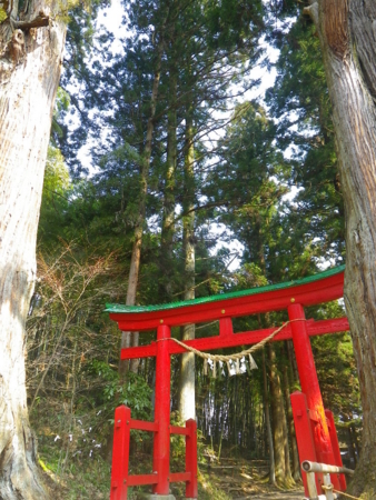 f:id:uchikoyoga:20120421201128j:image:h350