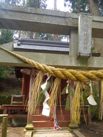 f:id:uchikoyoga:20120421201141j:image:h350