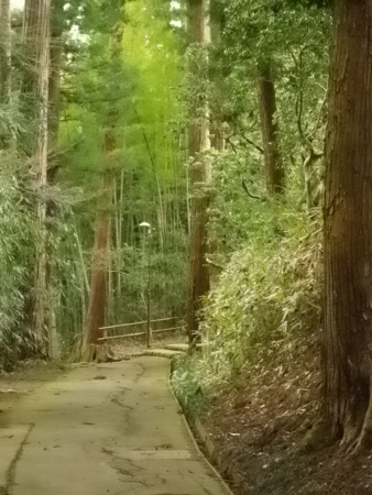 f:id:uchikoyoga:20120421201155j:image:h350