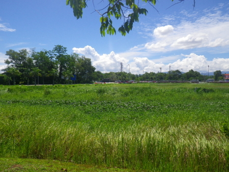 f:id:uchikoyoga:20120813111149j:image:w350 f:id:uchikoyoga:20120813111149j:image:w350
