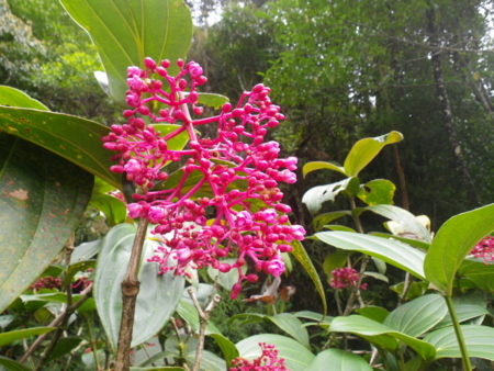 f:id:uchikoyoga:20120820172231j:image:w350 f:id:uchikoyoga:20120820172231j:image:w350