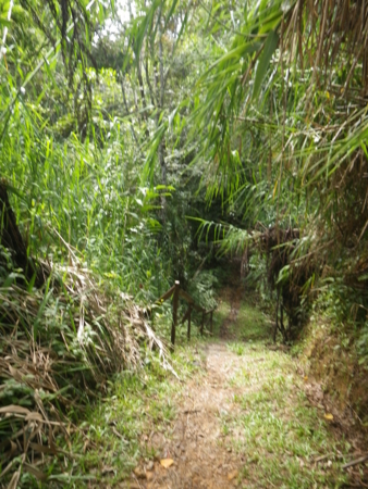 f:id:uchikoyoga:20120820172305j:image:h350 f:id:uchikoyoga:20120820172305j:image:h350