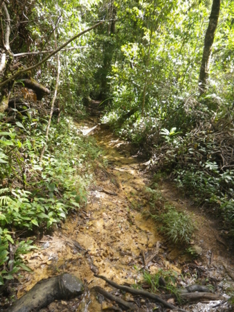 f:id:uchikoyoga:20120820172306j:image:h350 f:id:uchikoyoga:20120820172306j:image:h350