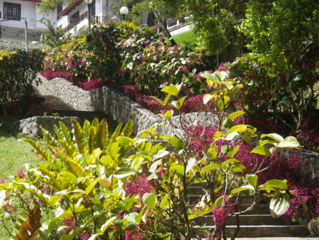f:id:uchikoyoga:20120820172312j:image:w350 f:id:uchikoyoga:20120820172312j:image:w350
