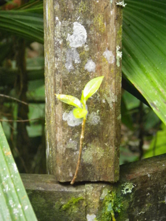 f:id:uchikoyoga:20120820172325j:image:h350 f:id:uchikoyoga:20120820172325j:image:h350