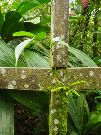 f:id:uchikoyoga:20120820172326j:image:h350 f:id:uchikoyoga:20120820172326j:image:h350