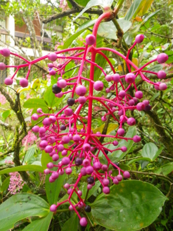 f:id:uchikoyoga:20120820172327j:image:h350 f:id:uchikoyoga:20120820172327j:image:h350