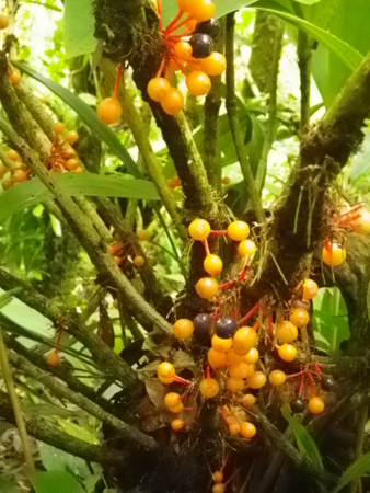 f:id:uchikoyoga:20120820172329j:image:h350 f:id:uchikoyoga:20120820172329j:image:h350